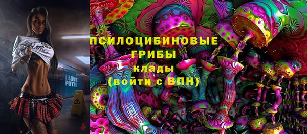 PSILOCYBIN Наволоки