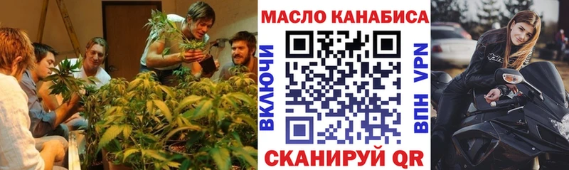 OMG маркетплейс Пестово ТГК вейп