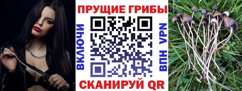 Галлюциногенные грибы мухоморы  закладка  Пестово 